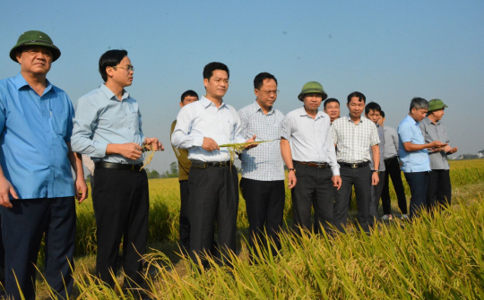 Nam Định hướng đến mục tiêu “nông nghiệp sinh thái, nông thôn hiện đại, nông dân văn minh”