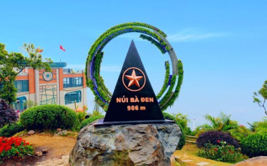 Núi Bà Đen hoá thiên đường hoa vạn người mê