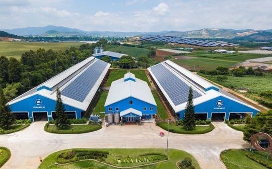 Câu chuyện "Cắt giảm, chuyển đổi và hấp thụ" hướng đến Net Zero tại Vinamilk