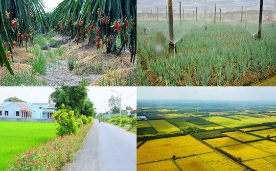 Long An: Quyết liệt thực hiện chuyển đổi số trong xây dựng nông thôn mới