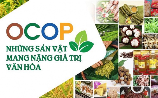 Bộ tiêu chí và quy trình đánh giá, phân hạng sản phẩm Chương trình mỗi xã một sản phẩm