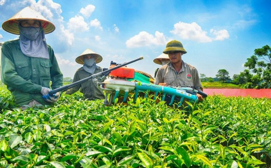 Tiếp tục đổi mới, phát triển và nâng cao hiệu quả kinh tế tập thể trong giai đoạn mới