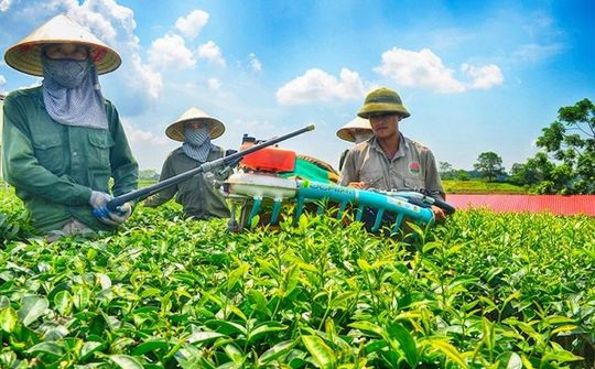Tiếp tục đổi mới, phát triển và nâng cao hiệu quả kinh tế tập thể trong giai đoạn mới