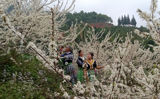 Độc đáo Tết rừng ở Nà Hẩu