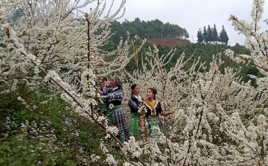 Độc đáo Tết rừng ở Nà Hẩu
