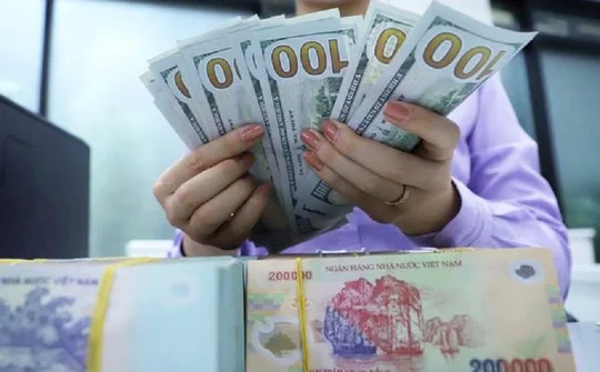 Không có doanh nghiệp nào phát hành trái phiếu trong tháng 1/2023