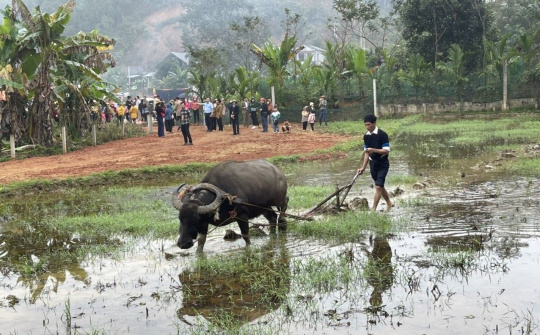 Sôi nổi lễ hội Lồng tồng ở Tân Hợp