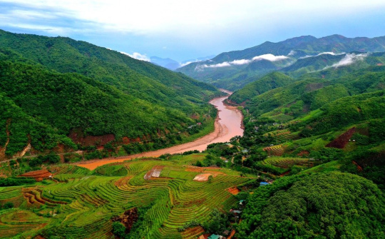 Thanh Hoá: Hỗ trợ gạo cho hộ nghèo trồng, chăm sóc, bảo vệ rừng huyện Mường Lát