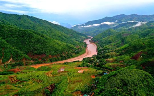 Thanh Hoá: Hỗ trợ gạo cho hộ nghèo trồng, chăm sóc, bảo vệ rừng huyện Mường Lát