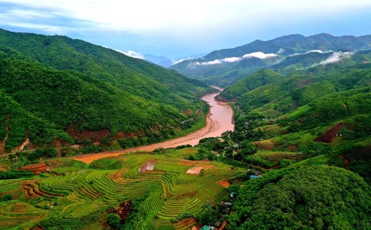 Thanh Hoá: Hỗ trợ gạo cho hộ nghèo trồng, chăm sóc, bảo vệ rừng huyện Mường Lát
