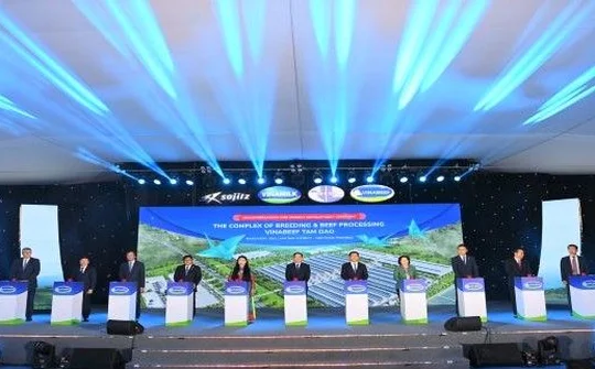 Khởi công Tổ hợp chăn nuôi và chế biến thịt bò Vinabeef Tam Đảo