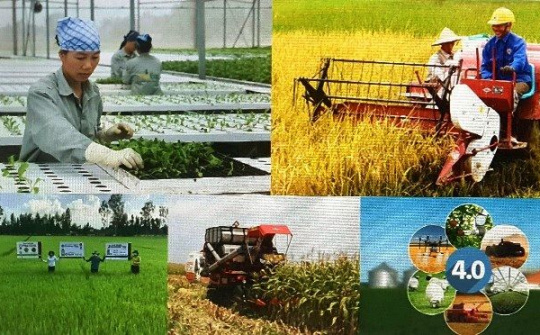 Chuyển đổi tư duy kinh tế nông nghiệp - Để nông dân là chủ thể