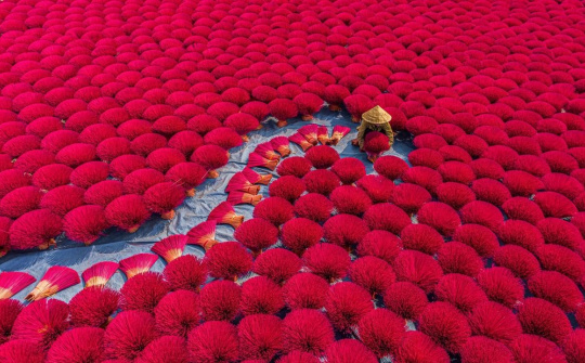 Rực rỡ làng hương Quảng Phú Cầu
