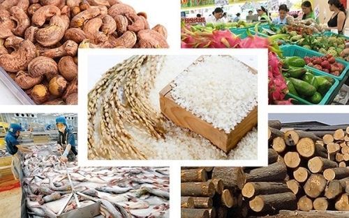 Ưu tiên phát triển xuất khẩu các mặt hàng có quy mô xuất khẩu lớn, lợi thế cạnh tranh cao