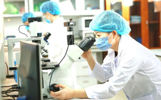 Khoa học công nghệ dẫn đường cho phát triển bền vững đất nước