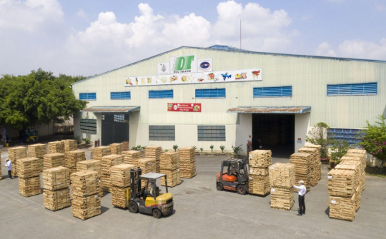 Gỗ Đức Thành: Tự tin nhận diện thương hiệu bằng lối đi riêng