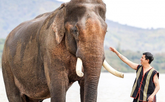 Đắk Lắk: Truyền thông điệp ý nghĩa “Tôi cười cùng voi, tôi ngừng cưỡi voi”