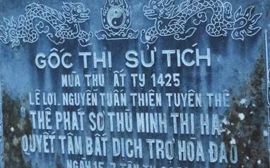 Cây thị trên ngàn năm tuổi-Chứng tích lịch sử chống giặc Minh của nghĩa quân Lê Lợi bị lãng quên