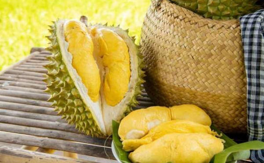 Kỳ vọng sự đột phá từ trái sầu riêng