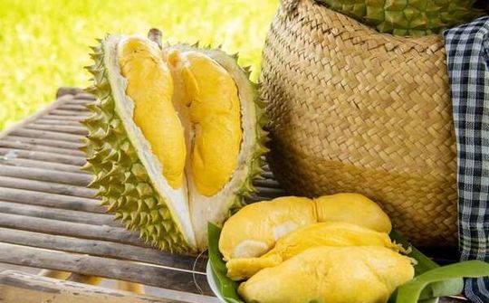 Kỳ vọng sự đột phá từ trái sầu riêng
