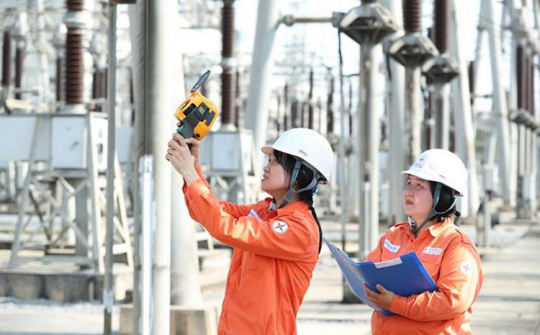 Hoa trên công trường EVNGENCO2