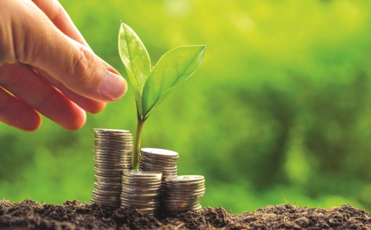 Efforts exerted to promote sustainable growth