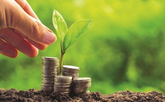 Efforts exerted to promote sustainable growth