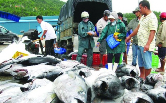 Thành lập Quỹ hỗ trợ phát triển nghề cá Khánh Hòa