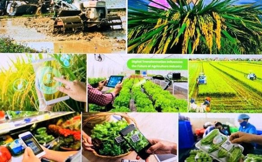 Xây dựng hình mẫu người nông dân Việt Nam trong thời kỳ hội nhập