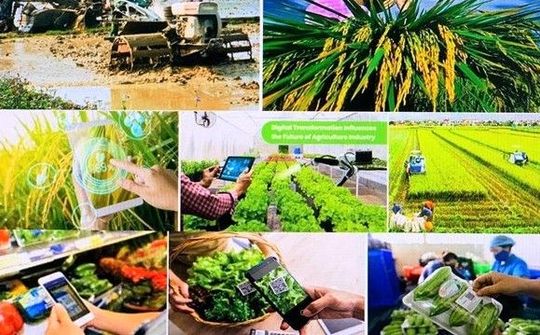 Xây dựng hình mẫu người nông dân Việt Nam trong thời kỳ hội nhập
