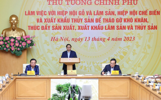 Tháo gỡ khó khăn, thúc đẩy sản xuất, xuất khẩu lâm sản và thủy sản