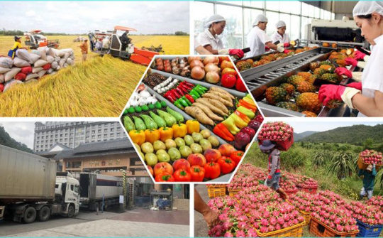 Thúc đẩy sản xuất, tiêu thụ nông sản; thực hiện 3 Chương trình mục tiêu quốc gia