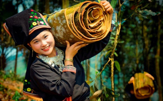 Bảo đảm an sinh xã hội cho lao động khu vực phi chính thức - Vấn đề và giải pháp