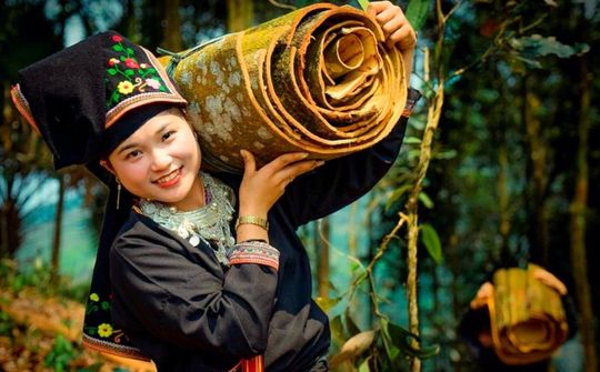 Bảo đảm an sinh xã hội cho lao động khu vực phi chính thức - Vấn đề và giải pháp