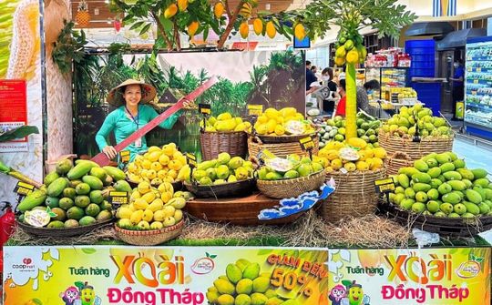 Tuần hàng xoài Đồng Tháp – Chiến lược quảng bá tích cực nông sản vùng đất Sen Hồng