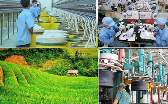 Phân công Thành viên Chính phủ làm việc với địa phương để đôn đốc, gỡ khó, thúc đẩy sản xuất kinh doanh