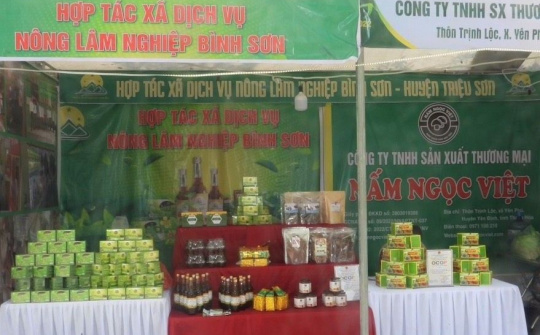 Tuần lễ Văn hóa Du lịch Ẩm thực huyện Thọ Xuân năm 2023