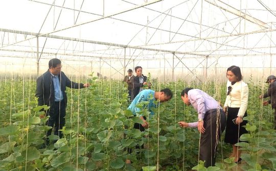 Yên Định phấn đấu về đích nông thôn mới nâng cao vào năm 2024