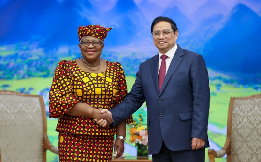 Tổng Giám đốc WTO: Thành công của Việt Nam cần được giới thiệu nhiều hơn với thế giới