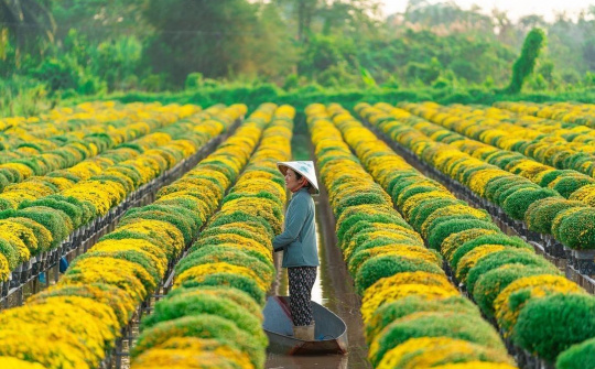 Đồng Tháp: Sẵn sàng “dọn chỗ” cho nhà đầu tư tiềm năng