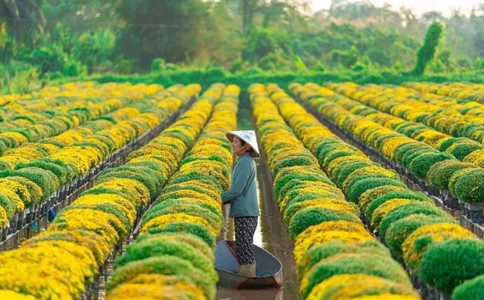 Đồng Tháp: Sẵn sàng “dọn chỗ” cho nhà đầu tư tiềm năng