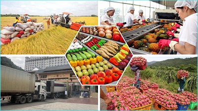 Giảm ùn ứ và thúc đẩy xuất khẩu nông sản tại các cửa khẩu biên giới phía Bắc