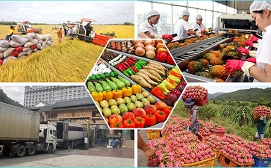 Giảm ùn ứ và thúc đẩy xuất khẩu nông sản tại các cửa khẩu biên giới phía Bắc