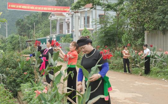 Hạnh Phúc trên non