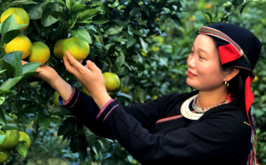 Hà Giang cần tăng tỷ trọng công nghiệp chế biến nông sản và phát triển năng lượng tái tạo