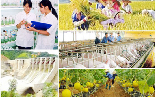 Quyết tâm giải ngân 100% vốn thực hiện các chương trình mục tiêu quốc gia