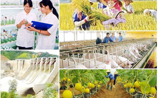 Quyết tâm giải ngân 100% vốn thực hiện các chương trình mục tiêu quốc gia