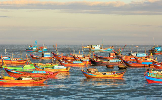 6 nhóm nhiệm vụ giải pháp nâng cao năng lực quản lý nhà nước về thủy sản