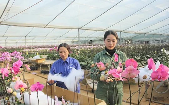 Hỗ trợ Sơn La xây dựng Đề án thành lập Khu nông nghiệp ứng dụng công nghệ cao