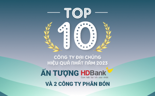 TOP 10 công ty đại chúng hiệu quả nhất năm 2023: Ấn tượng HDBank, Đạm Phú Mỹ và Hóa dầu Đức Giang